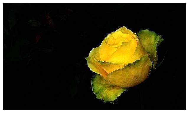 1羊男和96鼠女姻缘,96鼠女和91年男结婚好不好"