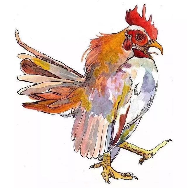 十二生肖的运势和婚姻，十二生肖今年的婚姻如何