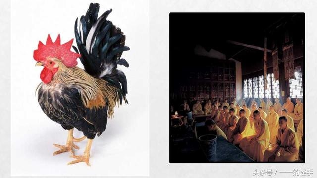 9年属鸡未来三年大运,69年属鸡未来十年吉凶"