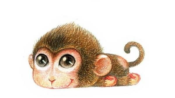 属羊人今年的婚姻感情怎么样，1979属羊有几段婚姻