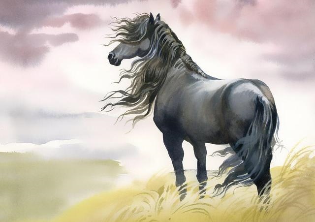 属鸡的相克生肖是什么，属鸡人一生最旺3个人