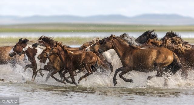 属马几月几日几时出生富有，属猴几月份生的命更好