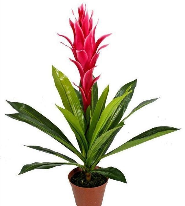 属羊店铺适合的方位，属羊2022 年的财运方向在哪