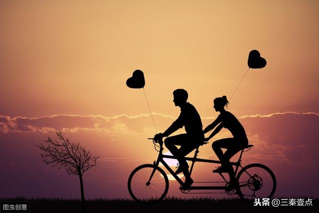 022属狗人全年运势男,生肖狗2022年运势大全"