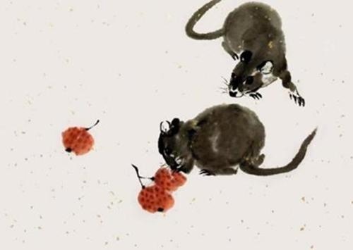 未来十年运势最旺的生肖，好运凶猛旺十年的生肖