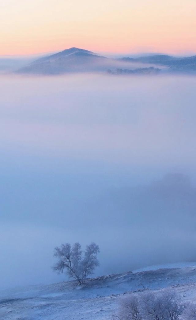 一月出生的牛是什么命，十月的牛女是什么命