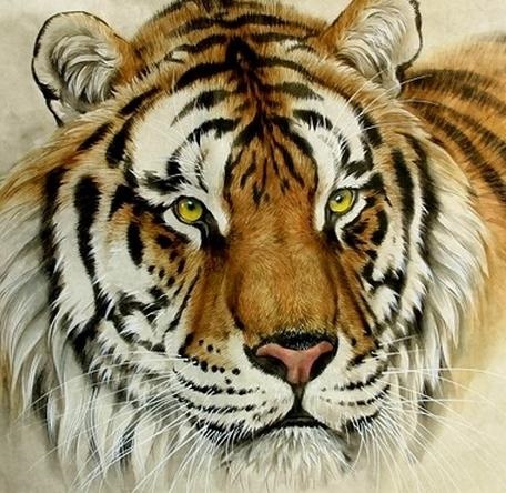 和马属相合的生肖，属马人财运和谁最合财