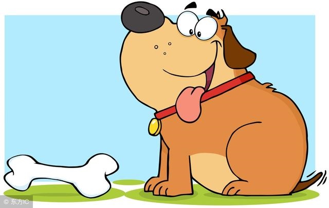 2年属狗2022年多大年龄，属兔的今年多大"