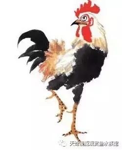 022年下半年最倒霉的生肖，2022年最倒霉的生肖女"