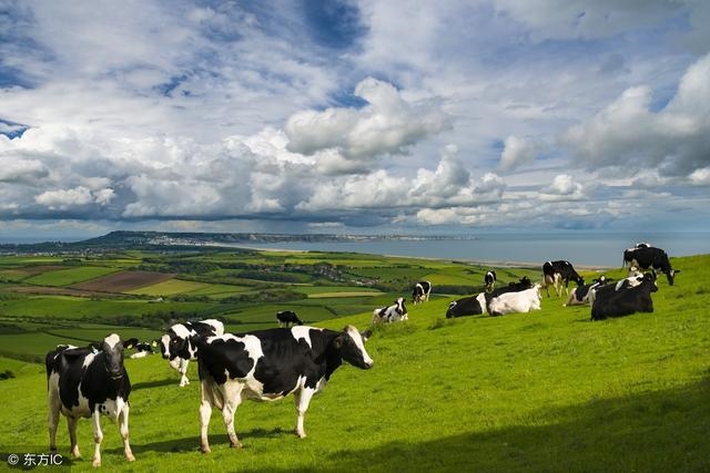 女子属羊守空房从何而来，属羊的女人几月会克夫