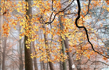 9年属羊男2022年桃花运,1990年属马2022