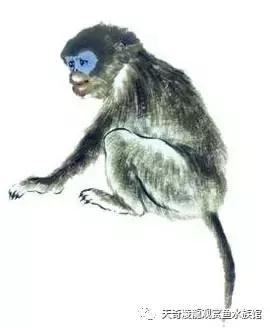 022年下半年最倒霉的生肖，2022年最倒霉的生肖女"