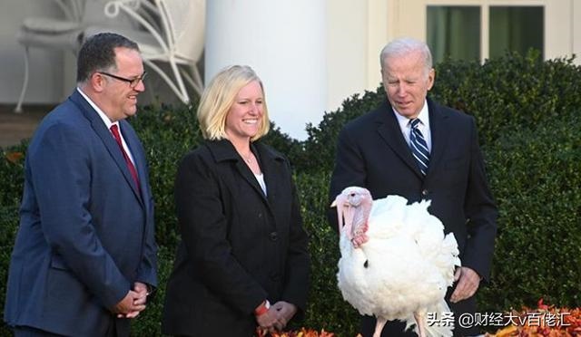022年11月份爱复生肖，爱看女人的生肖"