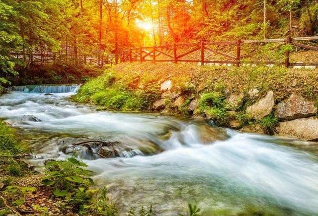 今年财运旺的生肖，财运旺三年三大生肖