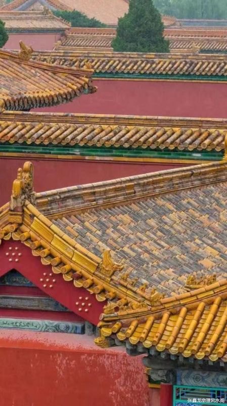 张鑫龙每日运势播报,2022 年1月2号出生