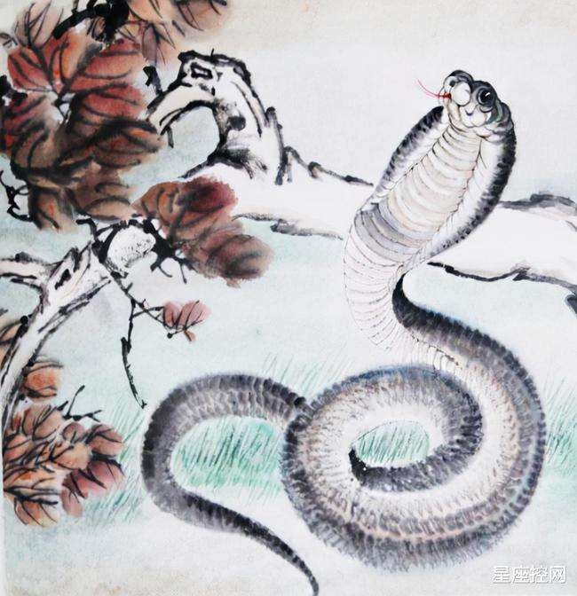 属蛇2022年多少岁,1977年蛇44岁几次婚姻