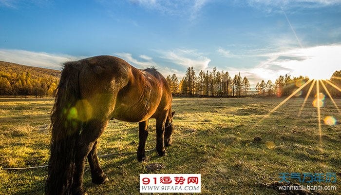 022年属马的和什么属相合财,2022年咸鱼翻身生肖"