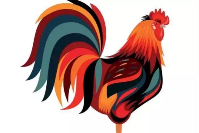 生肖鸡11月运势，生肖鸡11月份运势