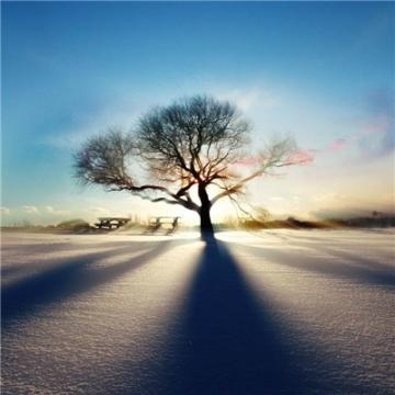 5年男微信非常旺财的名字，1975年男人属兔招财的头像"