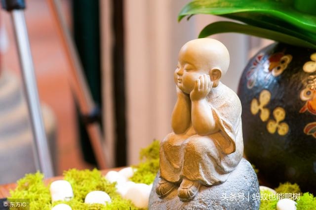 夫妻属龙2022年哪天搬家，2022年适合搬家的属相