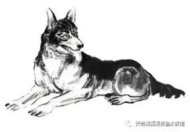 022年下半年最倒霉的生肖，2022年最倒霉的生肖女"