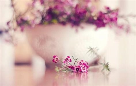 生肖运势今日运势，十二生肖今日偏财运