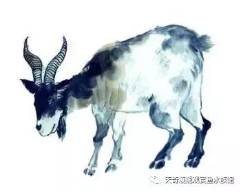 022年下半年最倒霉的生肖，2022年最倒霉的生肖女"