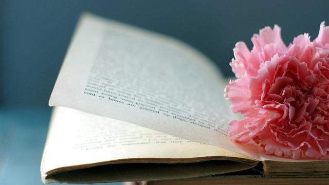 命里带羊刃逢伤官的人，羊刃格女命的更佳配偶