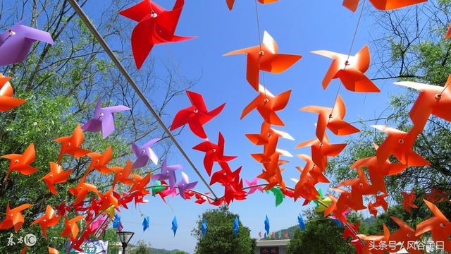 4年属狗什么时候转运，93年属鸡的和什么属相最配"