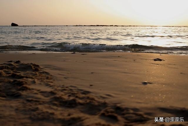 属羊的忌讳什么颜色，一生旺属羊的颜色