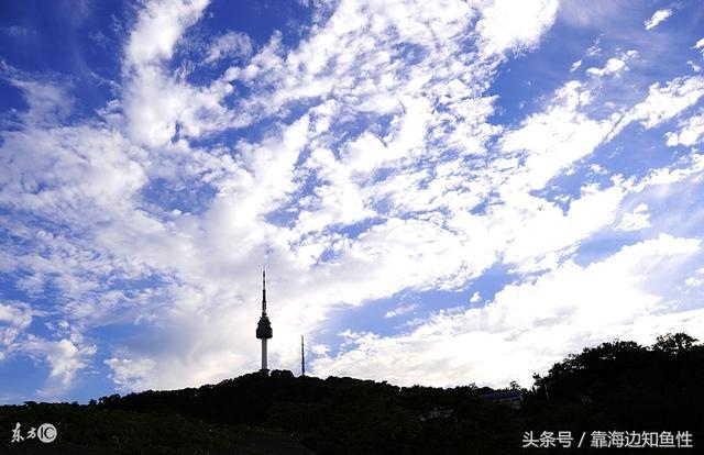 3年属牛2022年有三喜，2022年药士报名时间"