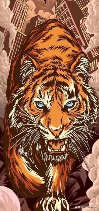 十二生肖图片大全12张真实图片，十二生肖图片大全可爱