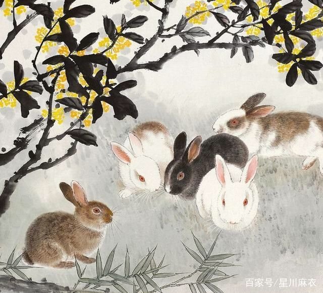 999年属兔女，1999年属兔人的命运"