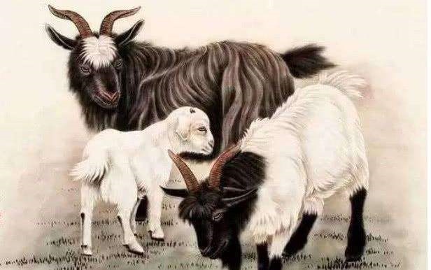 9年属羊男婚配86属虎女,92年男属猴的和什么属相最配"