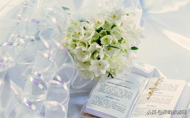 婚姻更佳的生肖配对图，十二生肖婚姻配对大全