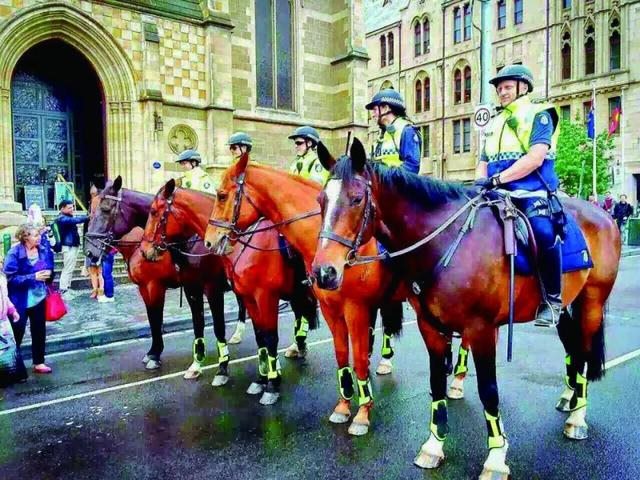 990马和1990马相配吗,1990女马和1990男马"