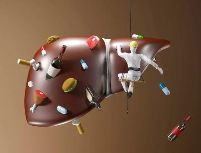 肝不好该怎么调理饮食，脾胃不好的人怎么调理饮食