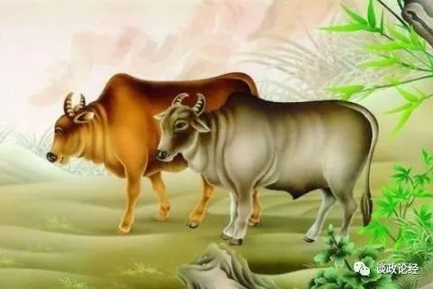 属牛人的2022年运程，1985属牛人2022 年运势运程