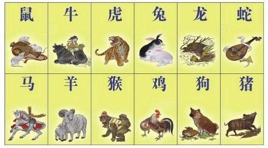 十十二生肖运势，十二生肖终身运势