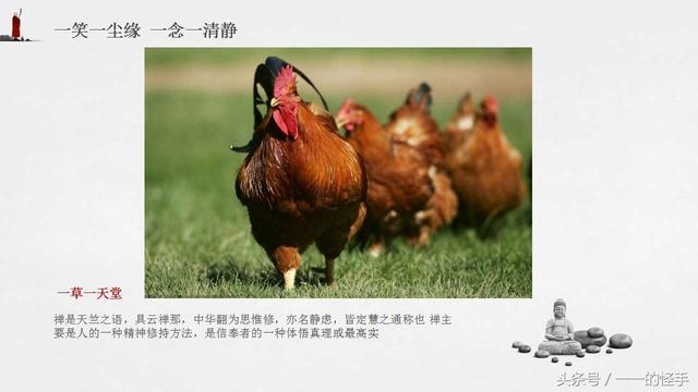 9年属鸡未来三年大运,69年属鸡未来十年吉凶"