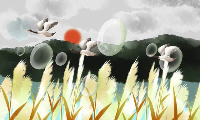 2年狗2022年必有一难,82年女狗2022年运势"