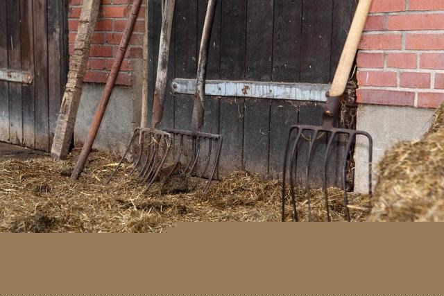 六月六的顺口溜，六月六祝福语