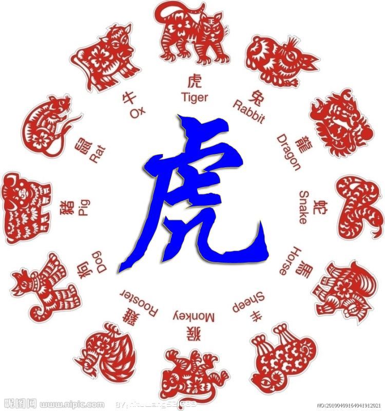 羊和虎在一起有财运吗，2022 年属羊越冲越旺