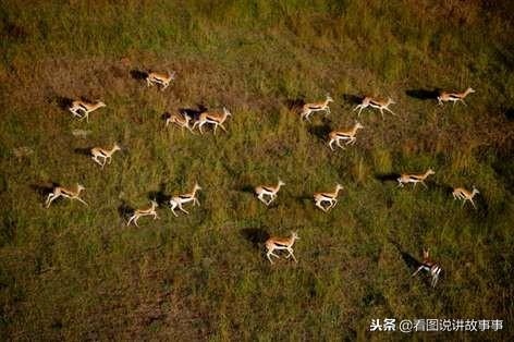马几点出生更好命运，属马生日时辰看命运