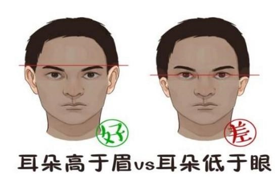 5岁后起运的面相，40岁以后走五官的哪个运"