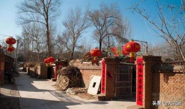 羊年还有多少年,2003年属羊是什么命