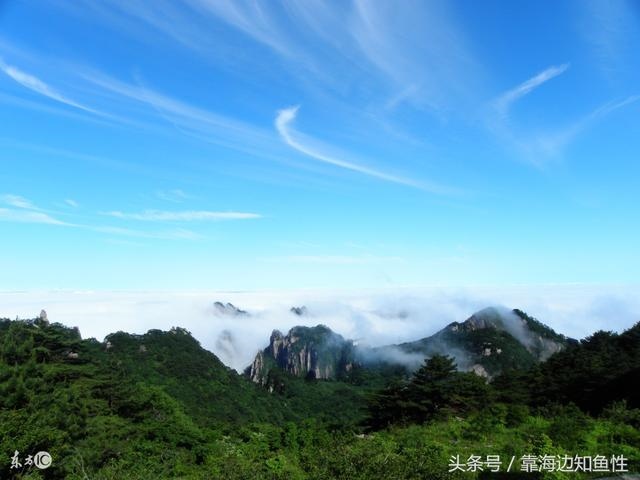 3年属牛2022年有三喜，2022年药士报名时间"