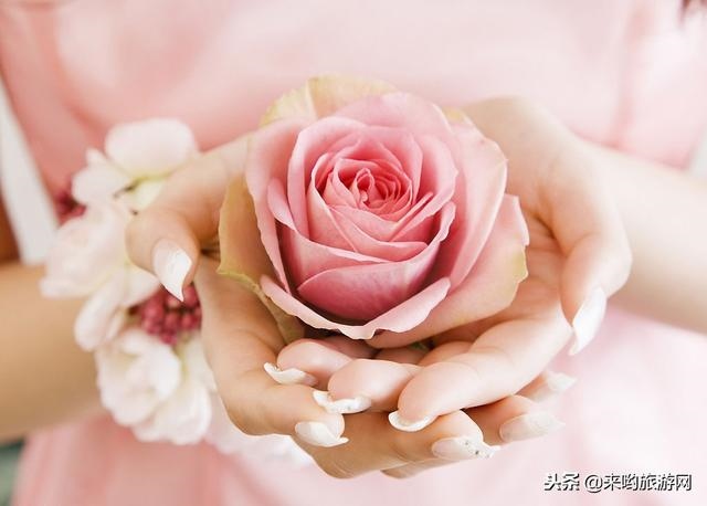 婚姻更佳的生肖配对图，十二生肖婚姻配对大全