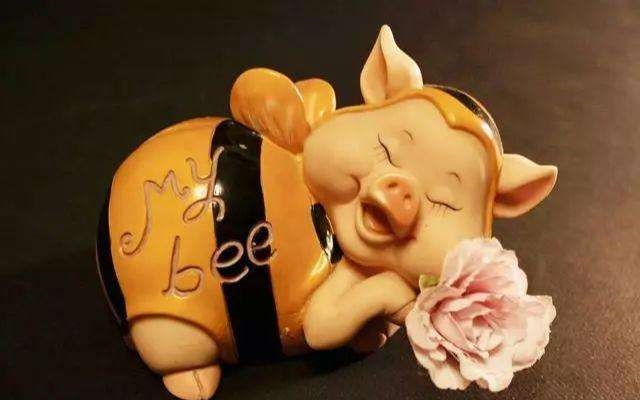 6岁属猪的今年怎么样，96年属鼠25岁婚姻状况"