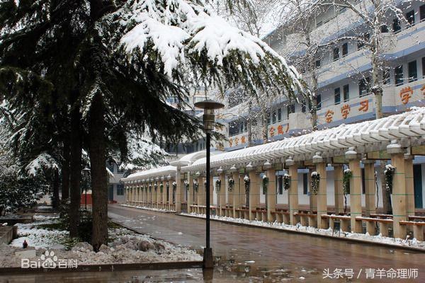 022年什么生肖运势最差,2022容易遇到真爱的生肖"